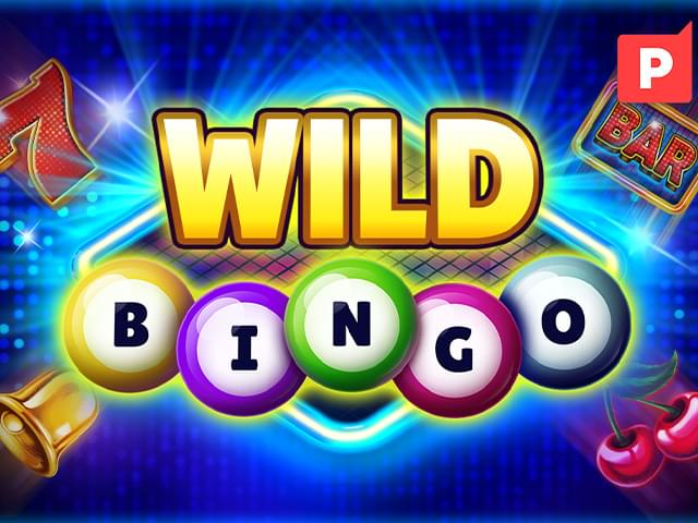 tg55 bet Bingo Selvagem